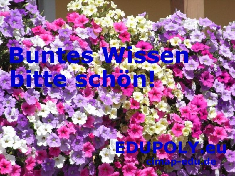 EDUPOLY Willkommen zu EDU-Gold